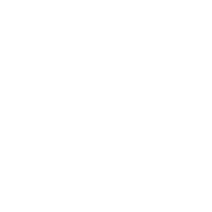 Customer promise icon